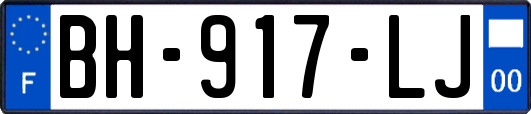 BH-917-LJ