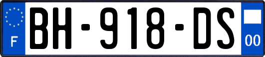 BH-918-DS