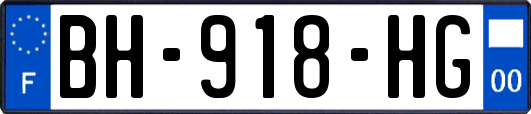 BH-918-HG