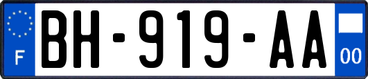 BH-919-AA