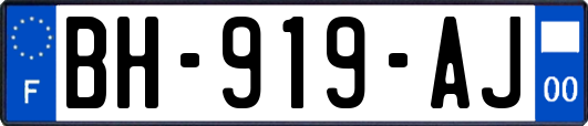 BH-919-AJ