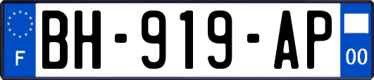 BH-919-AP