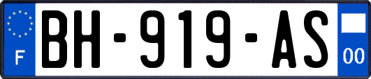 BH-919-AS