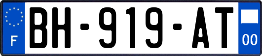 BH-919-AT