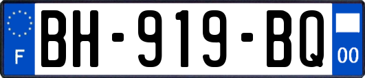 BH-919-BQ