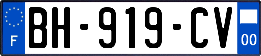 BH-919-CV