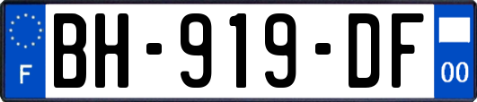BH-919-DF
