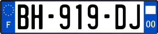 BH-919-DJ