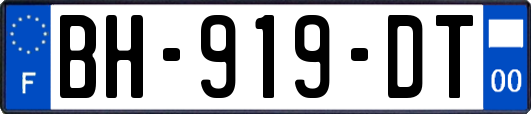 BH-919-DT