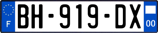 BH-919-DX