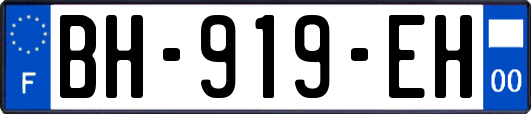 BH-919-EH