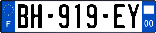 BH-919-EY