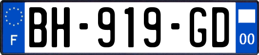 BH-919-GD