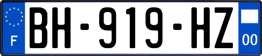 BH-919-HZ