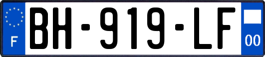 BH-919-LF