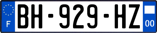 BH-929-HZ