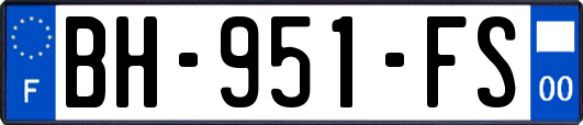 BH-951-FS