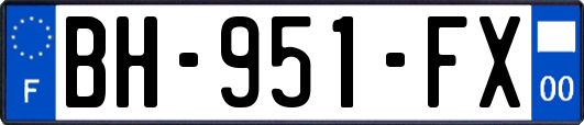 BH-951-FX
