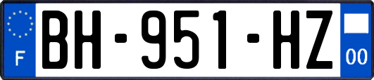 BH-951-HZ