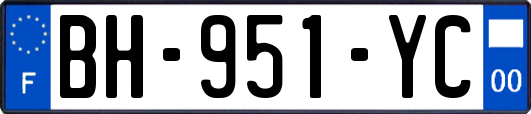 BH-951-YC
