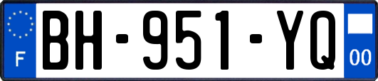 BH-951-YQ