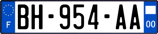 BH-954-AA