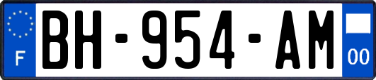 BH-954-AM