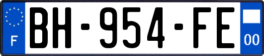 BH-954-FE