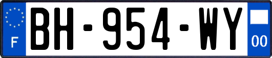 BH-954-WY