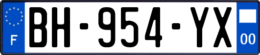BH-954-YX