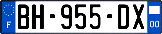 BH-955-DX