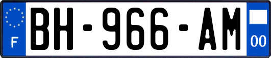 BH-966-AM