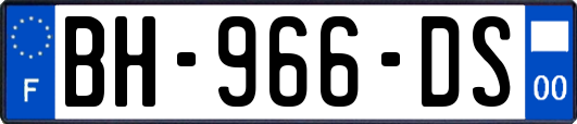 BH-966-DS