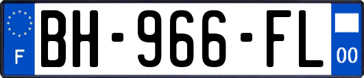 BH-966-FL