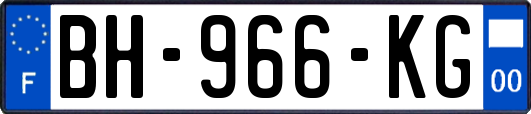 BH-966-KG