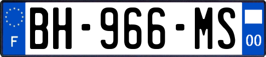BH-966-MS