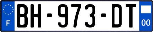 BH-973-DT