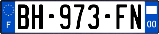 BH-973-FN