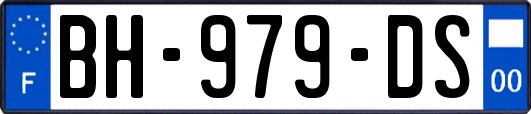 BH-979-DS