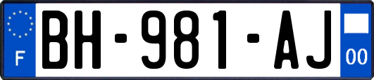 BH-981-AJ