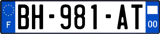 BH-981-AT