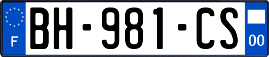 BH-981-CS