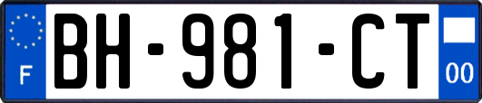 BH-981-CT