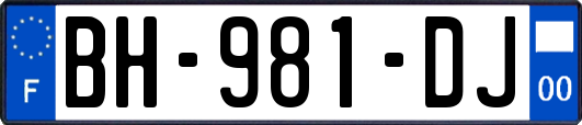 BH-981-DJ