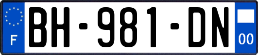 BH-981-DN