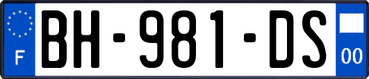 BH-981-DS