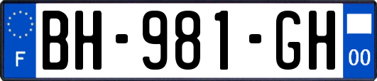 BH-981-GH