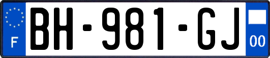 BH-981-GJ