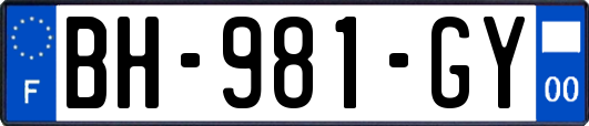 BH-981-GY