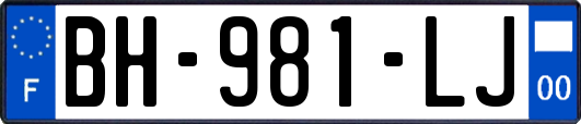 BH-981-LJ